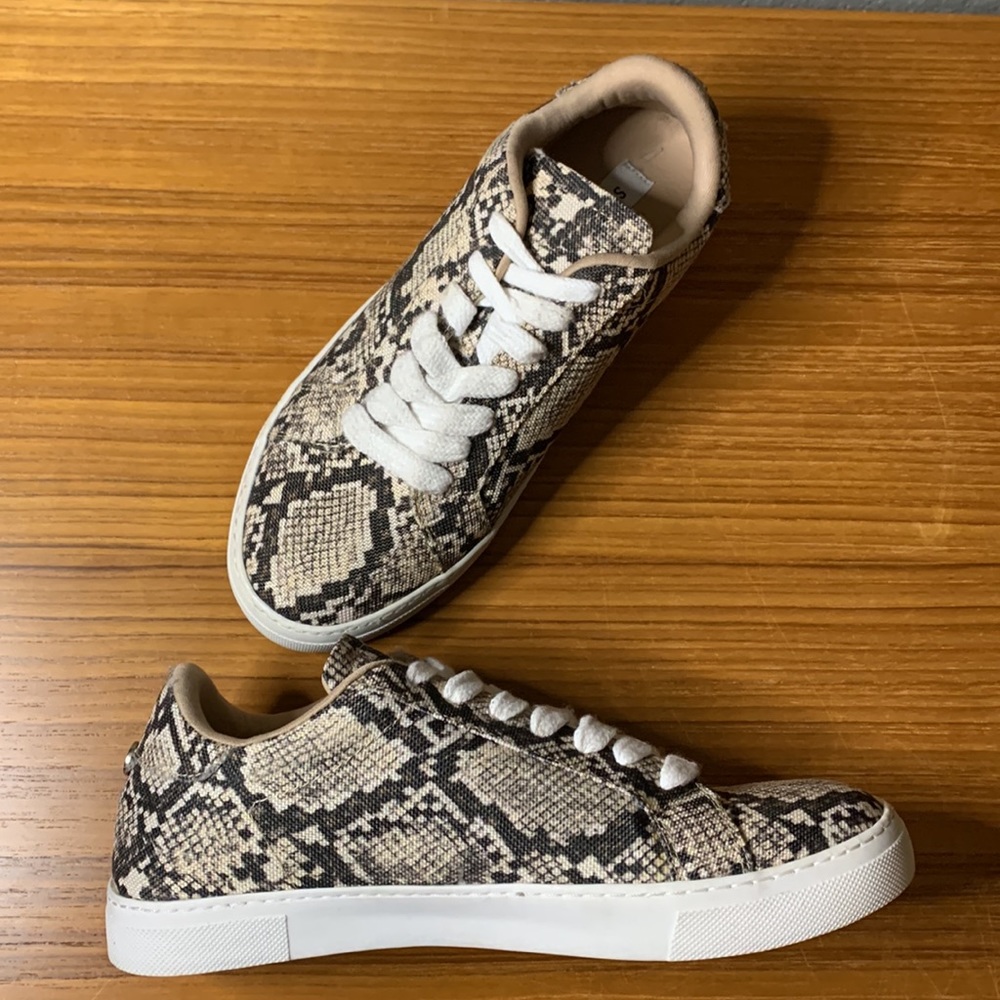 Steve Madden Snake Print sneaker BRAND NEW! - Picture 4 of 5